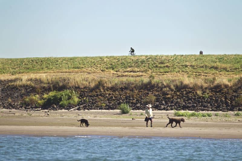 Columbia River levee system beach