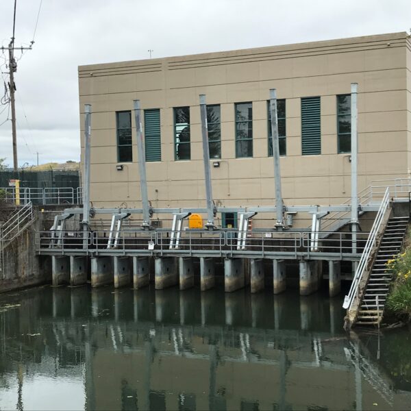 Columbia Slough side of MCDD's Pump Station #1